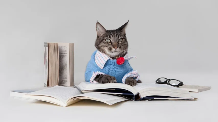 Изучаем Power Query: три курса от обучения новичков до уроков для профи