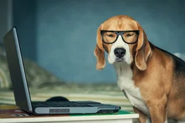Из API GetCourse в Power BI, Excel, Google Sheets: платежи, заказы, пользователи...