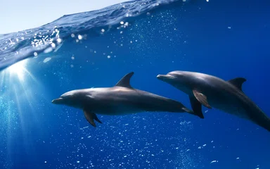 Классы Python для базы данных MySQL: SELECT, INSERT и DELETE с pymysql