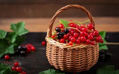 Коннектор к API Wildberries и WB-рекламе для Power BI и Excel