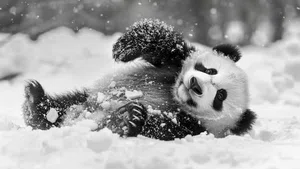 Обработка данных в Python без Pandas: Polars, DuckDB и chDB