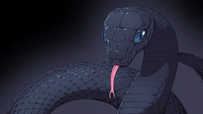 Создаём Telegram-бота на Python с помощью pyTelegramBotAPI (telebot)