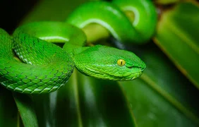 Классы, наследование, init, self, *args и **kwargs в Python