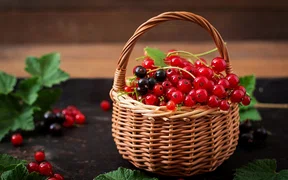 Коннектор к API Wildberries и WB-рекламе для Power BI и Excel