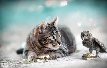 UTM-метки для Яндекс Директ и Google Ads: source, campaign, content и term