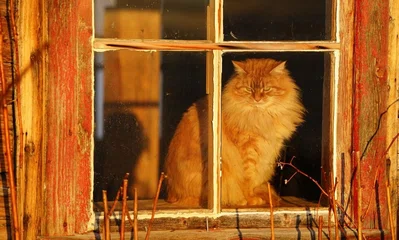 Промпт-инжиниринг и контекстное окно LLM: управляй контекстом правильно